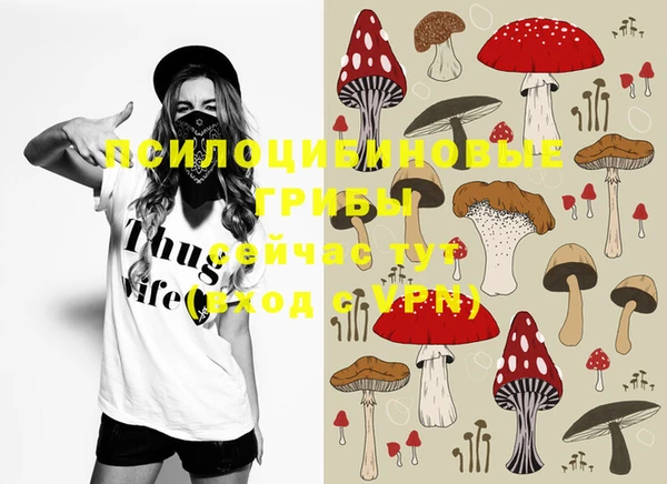 PSILOCYBIN Абаза